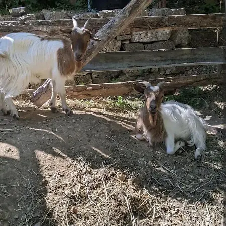 シャレー Roulotte A La Mauvaise Herbe バルジョル