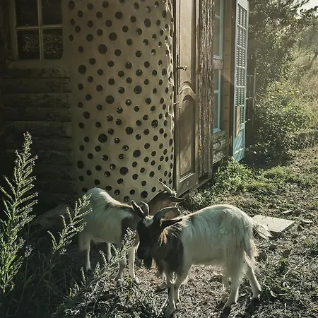 Roulotte A La Mauvaise Herbe